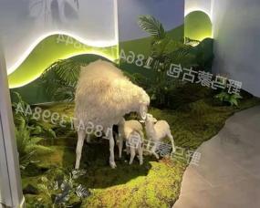 内蒙古手工羊